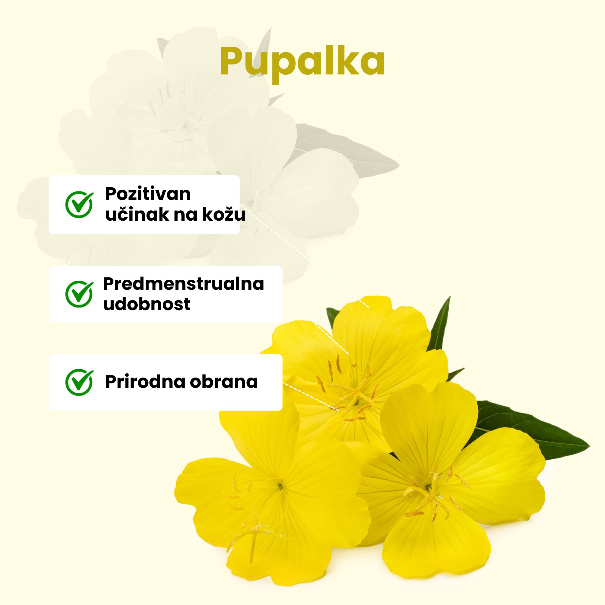 (Chorvatština) Pupalka